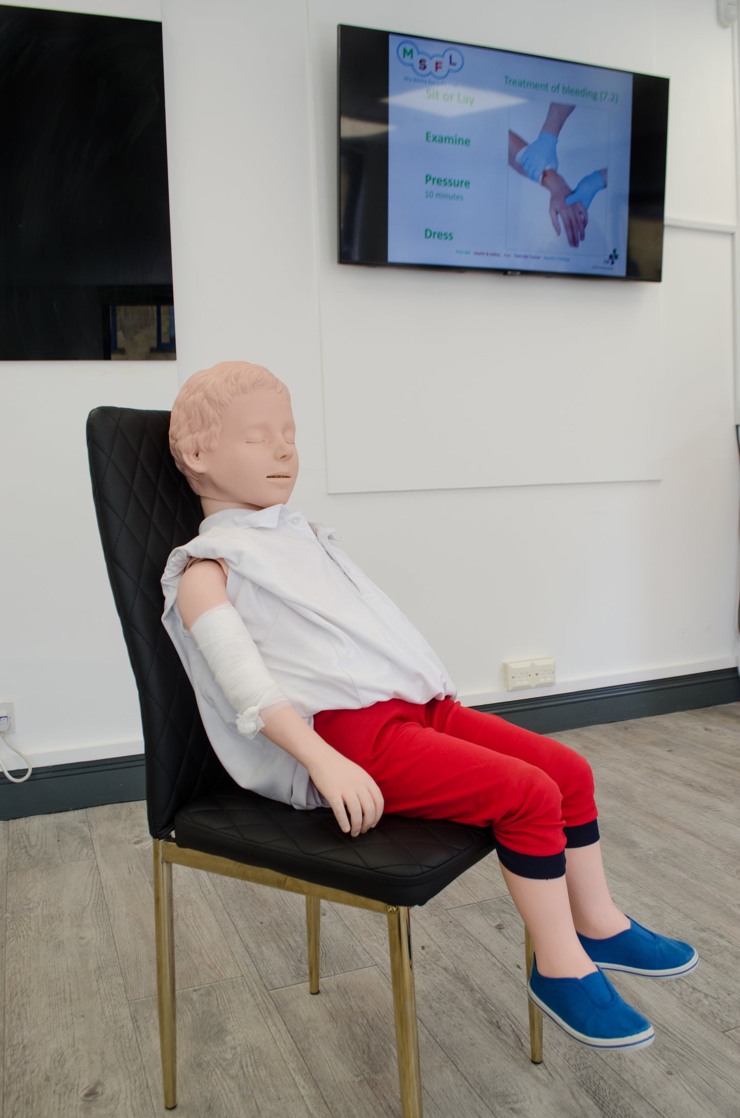 Paediatric Blended First Aid